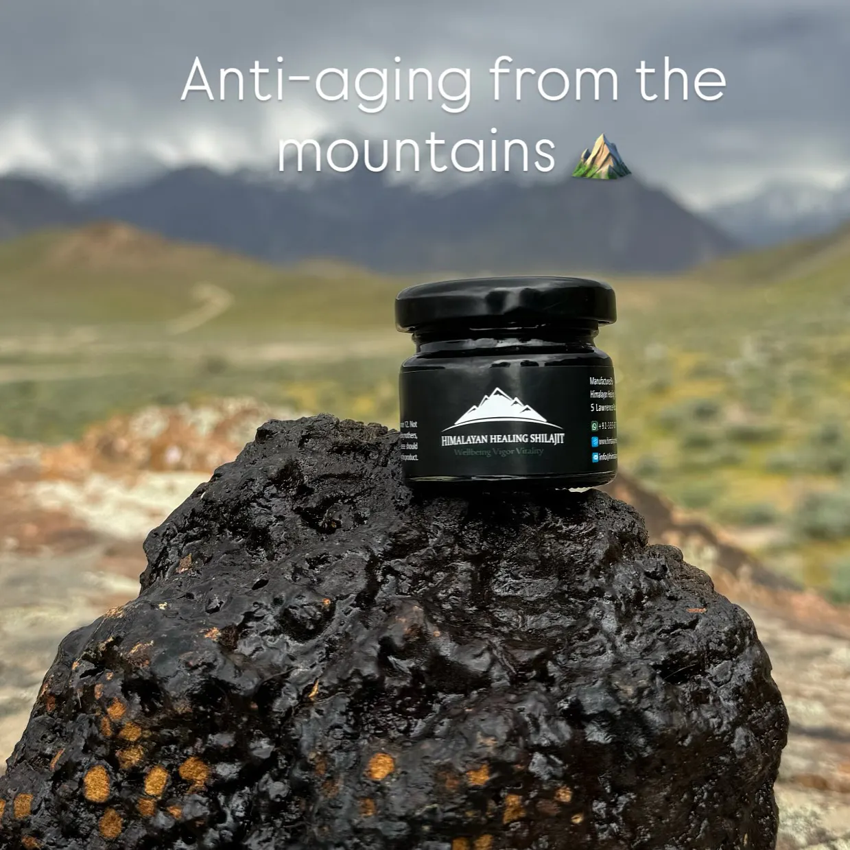 Himalayan Healing Shilajit gallery image
