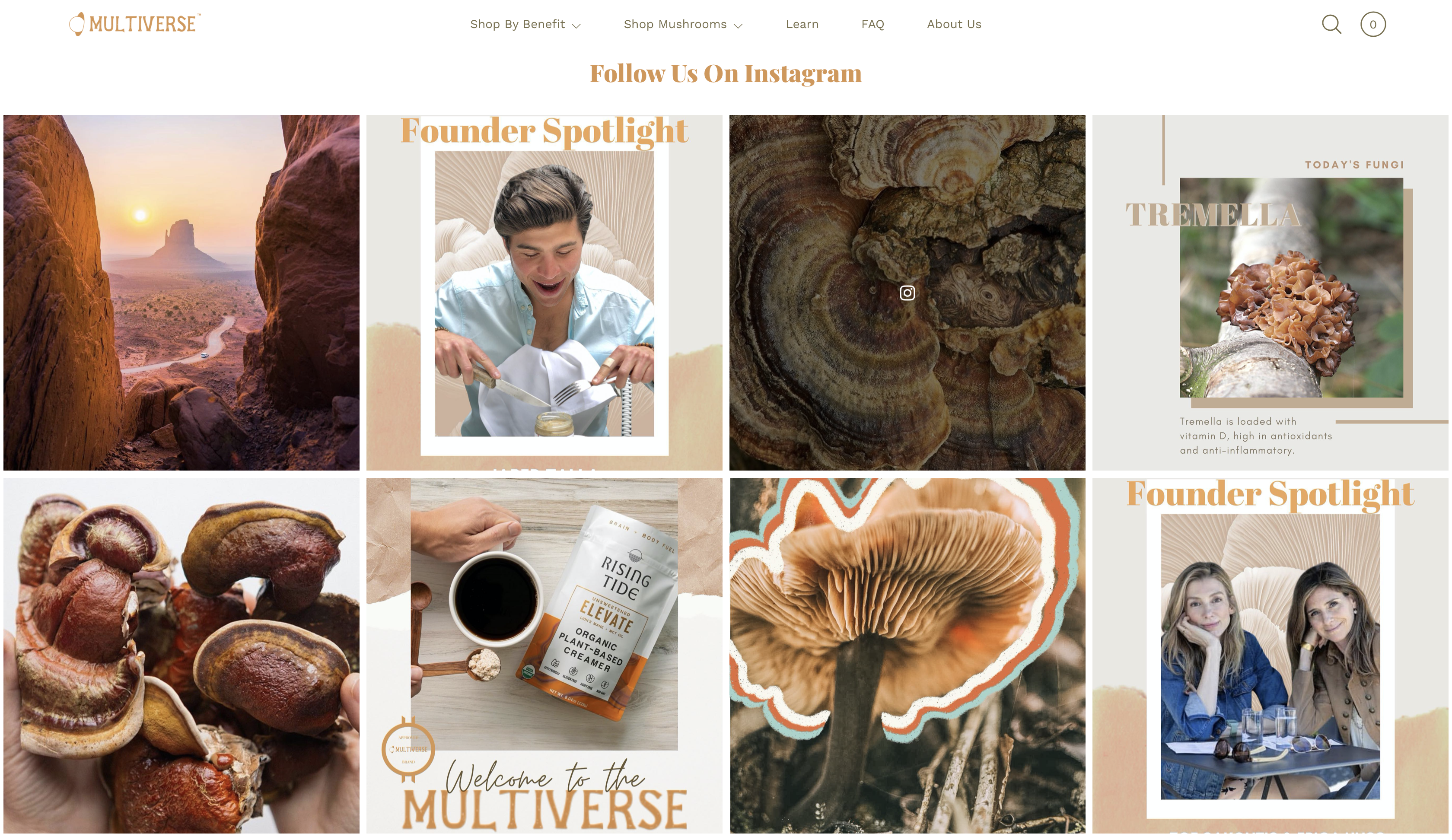 The Multiverse gallery image