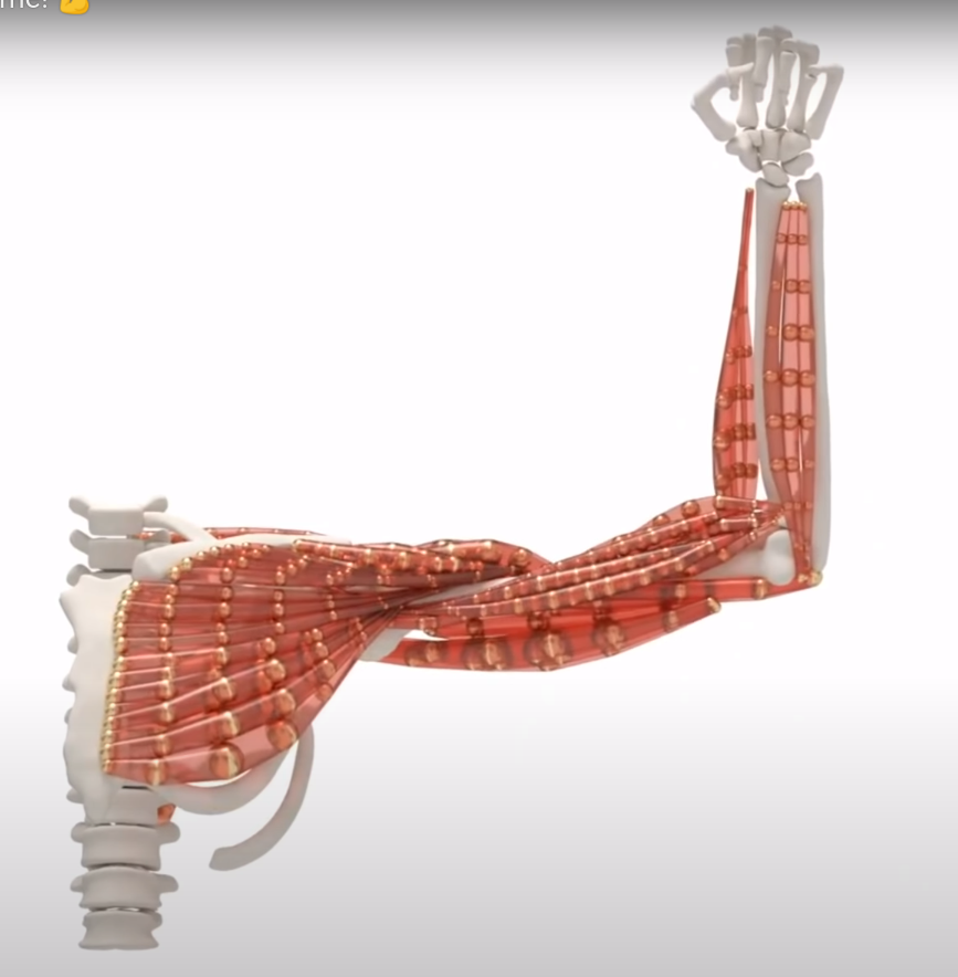 OpenHuman.ai gallery image