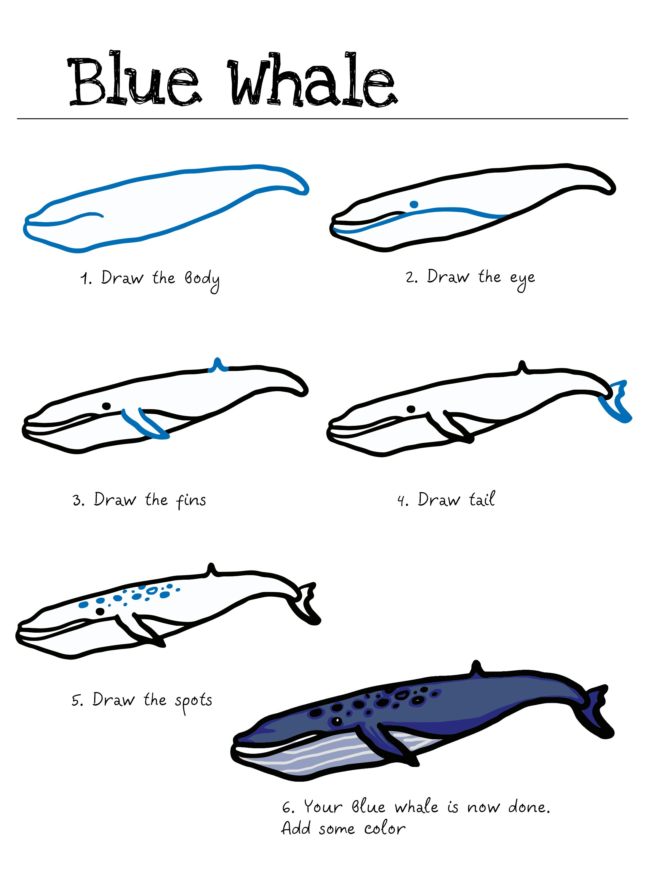 How to draw animals gallery image
