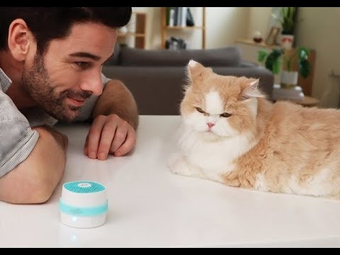 VentiFresh ECO gallery image