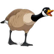 Honker