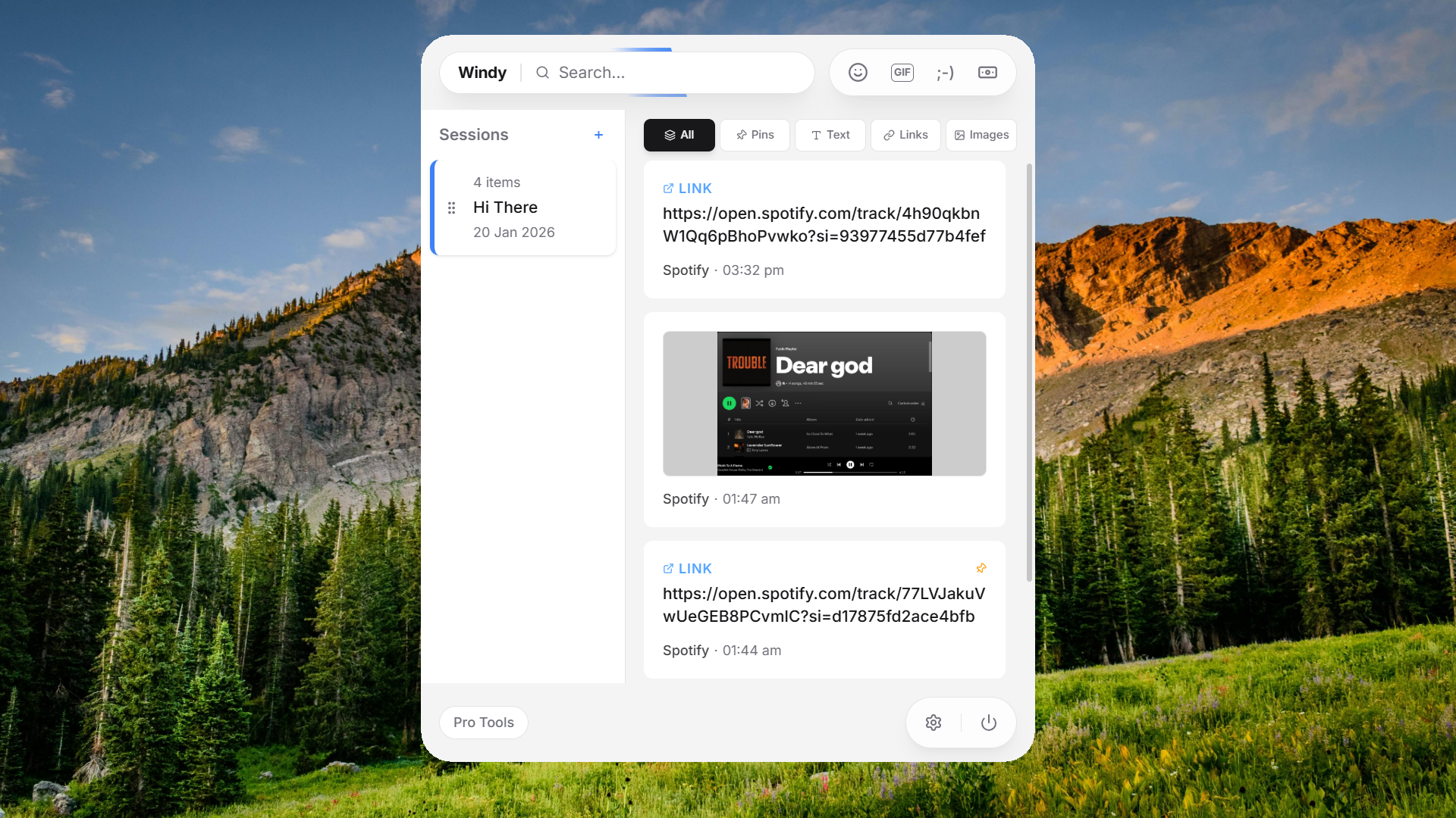 Windy - Main product screenshot demonstrating key features and user interface