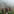 TOP 10 Things Must To Do in Sapa