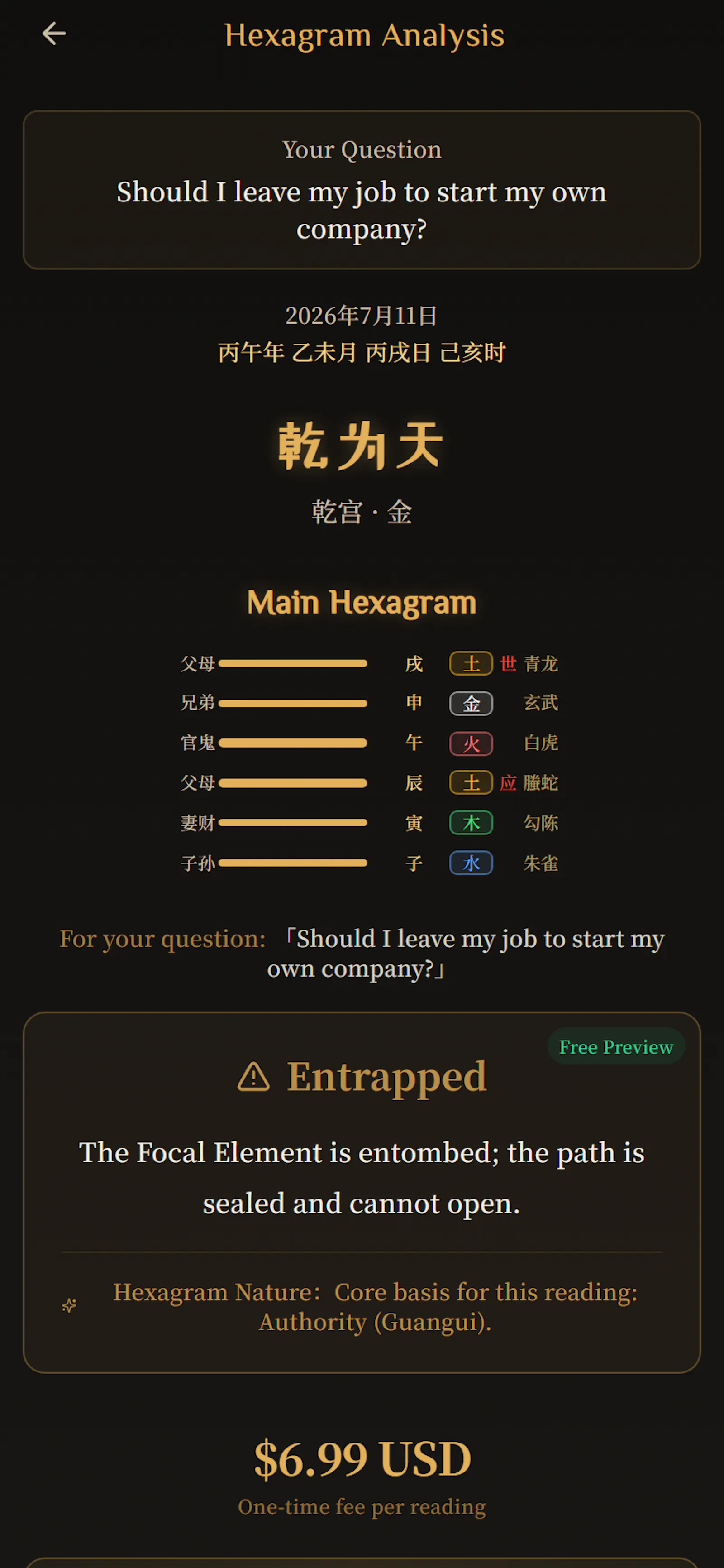I Ching Decision Companion screenshot 4