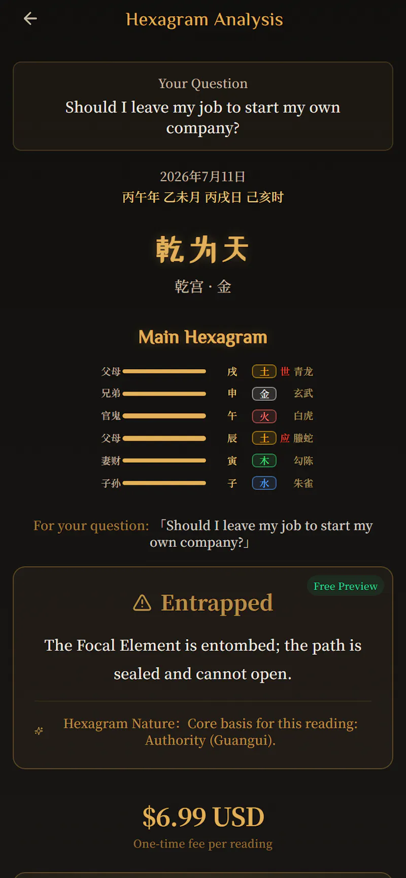 I Ching Decision Companion screenshot 4