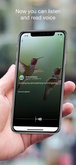 Velegraph gallery image
