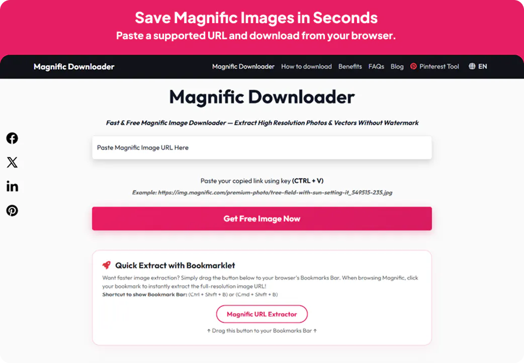 Magnific Downloader gallery image