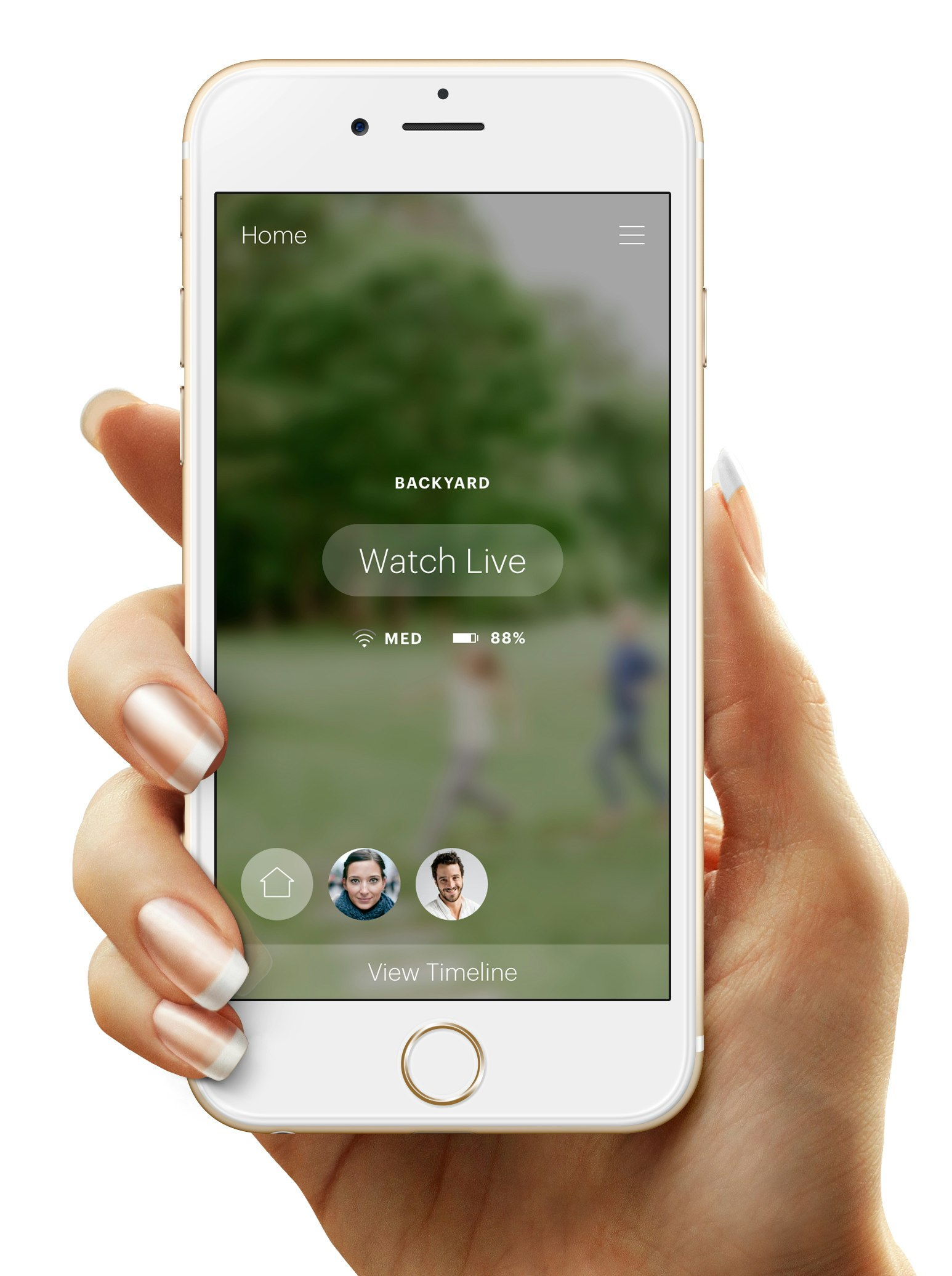 Canary gallery image