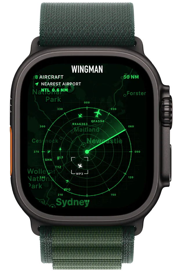 Wingman gallery image