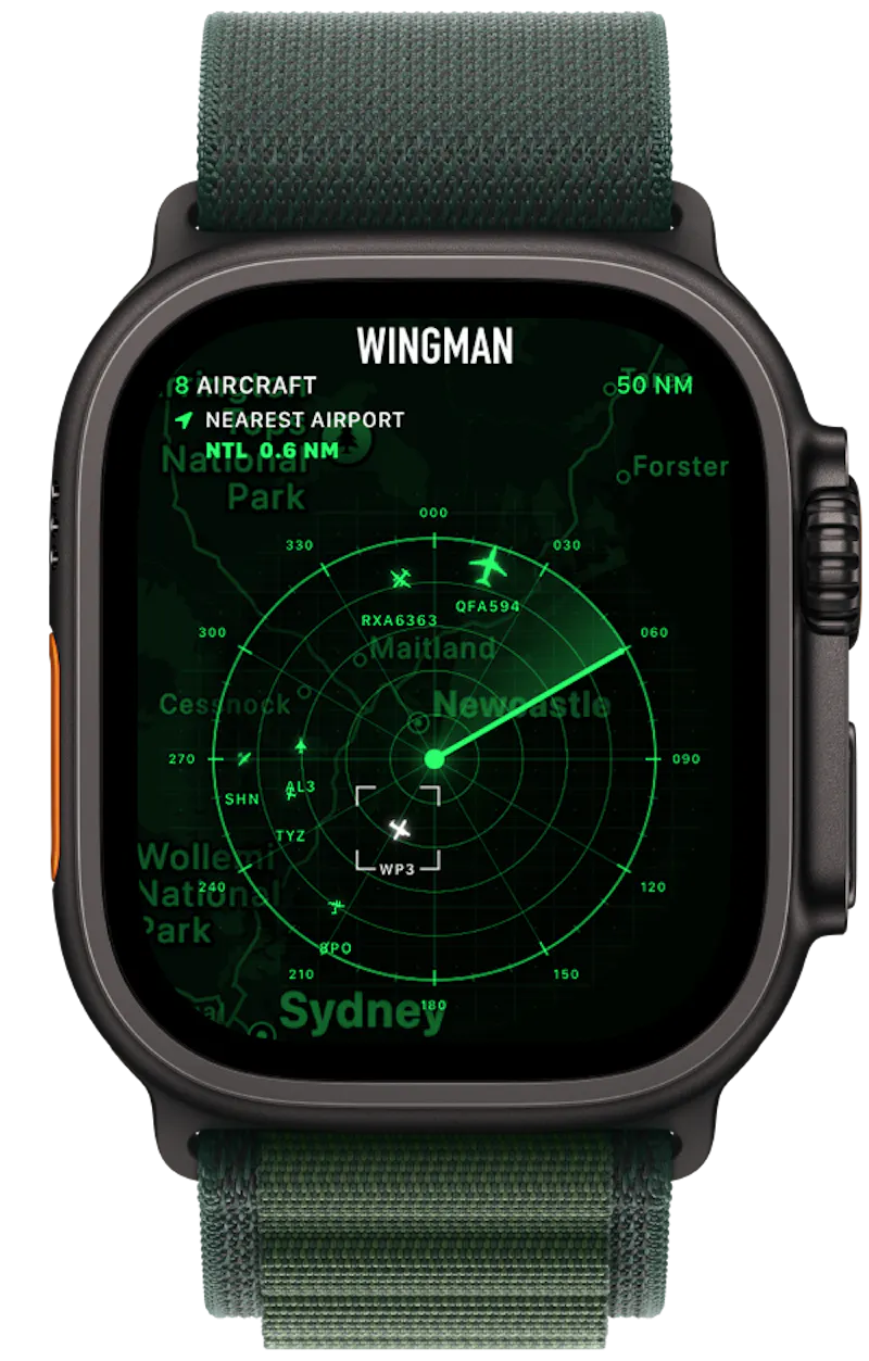 Wingman screenshot 3