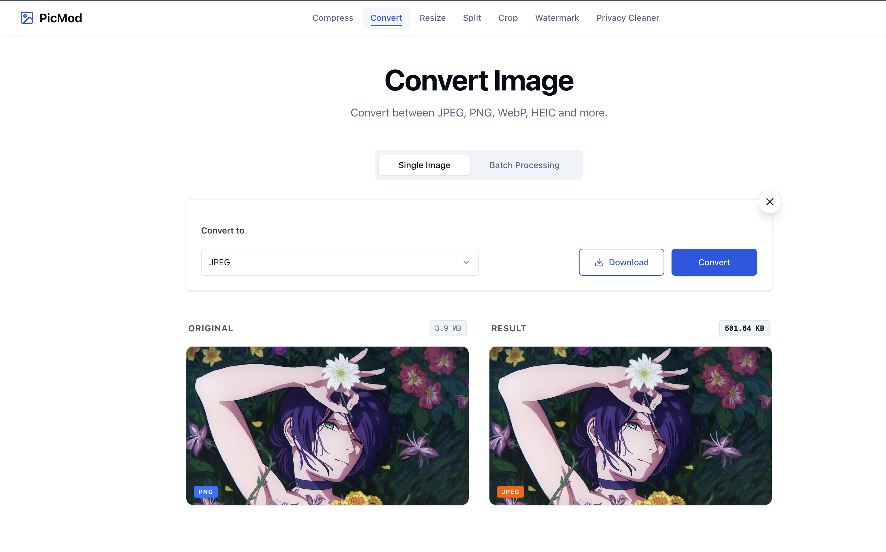 PicMod gallery image