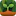 Grove