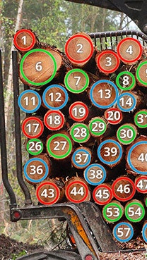 CountingThings gallery image