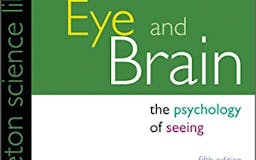 Eye and Brain media 3