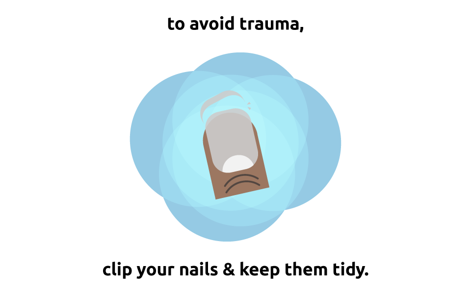 Circulets: the game for families, friends and parties gallery image