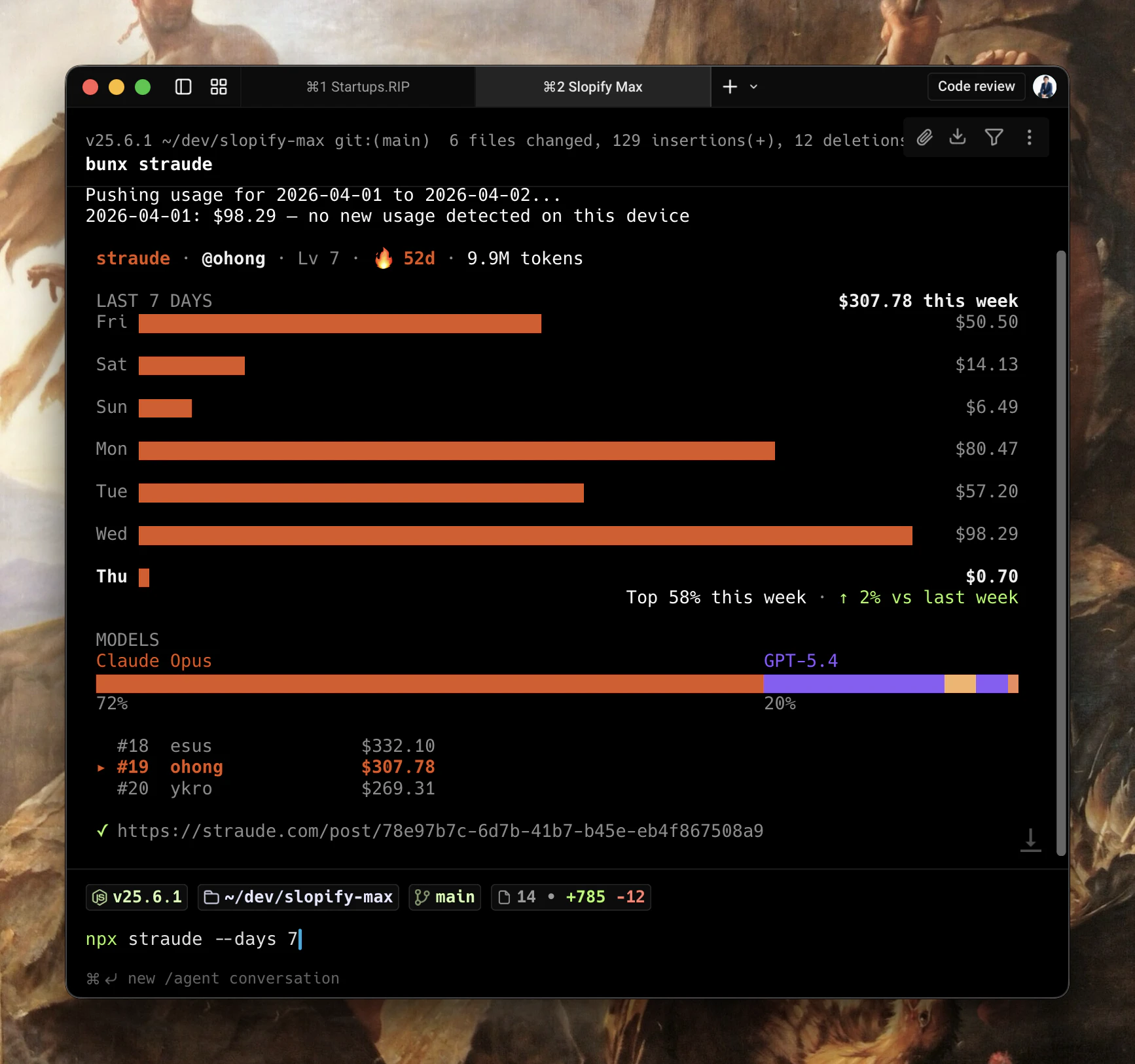 Straude screenshot 2
