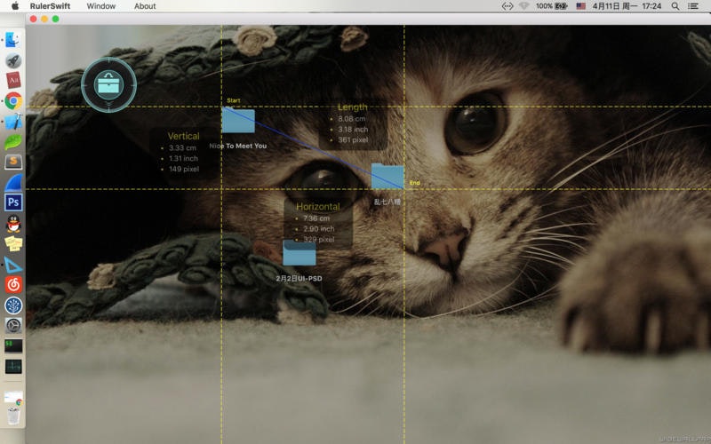RulerSwift gallery image