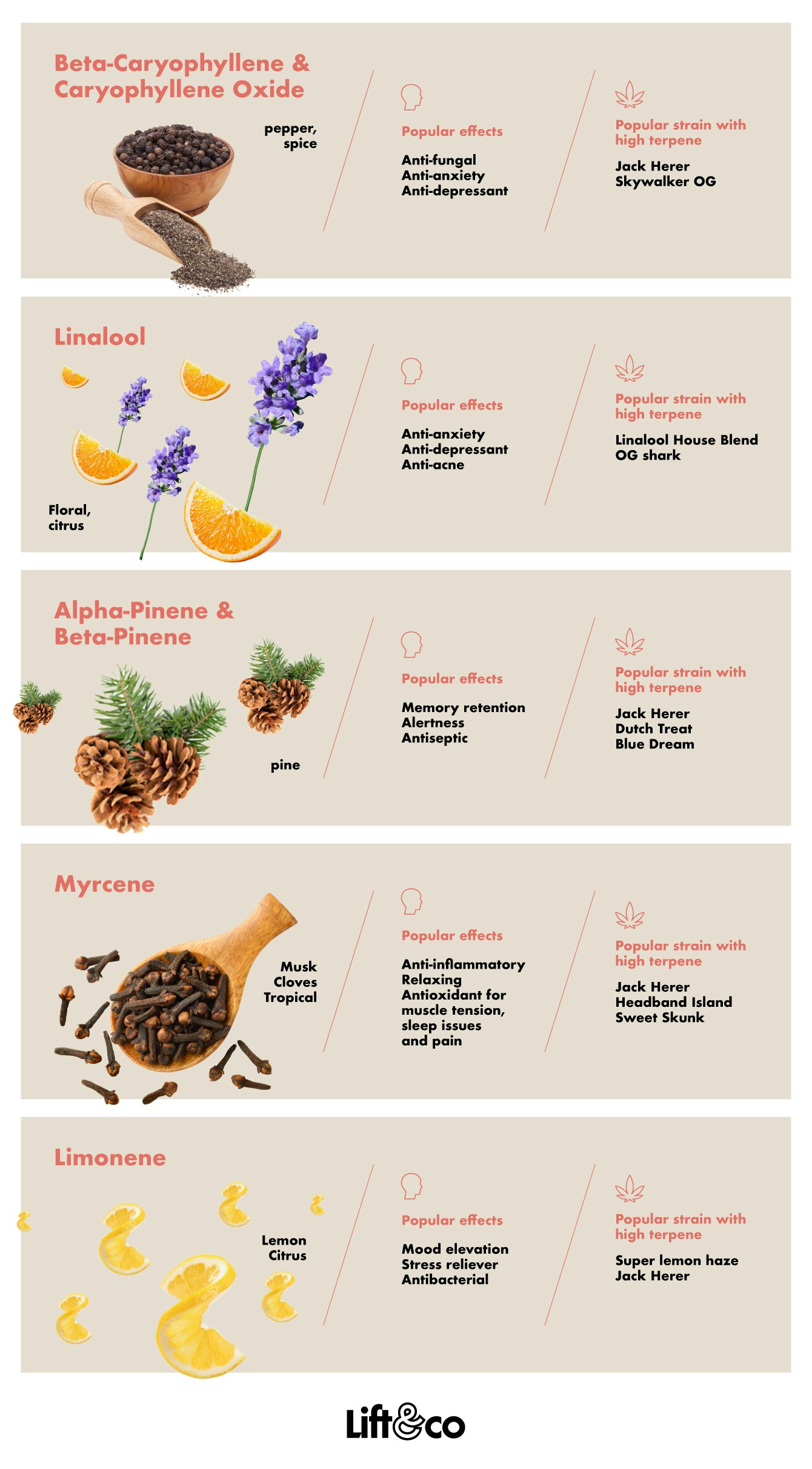 MailLift gallery image