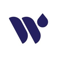 Wellbeing International Foundation - Product Hunt launch logo and brand identity