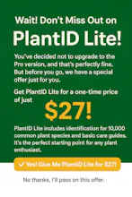 PlantID Pro – AI Plant Identifier gallery image