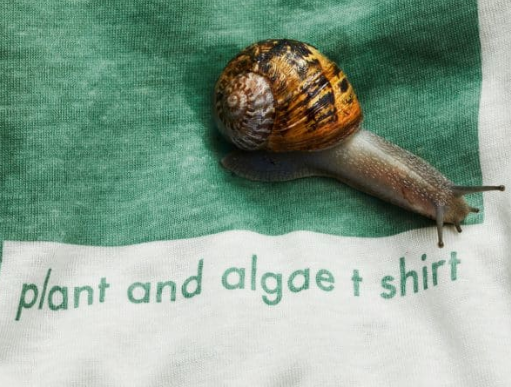 Vollebak Relaxation Hoodie