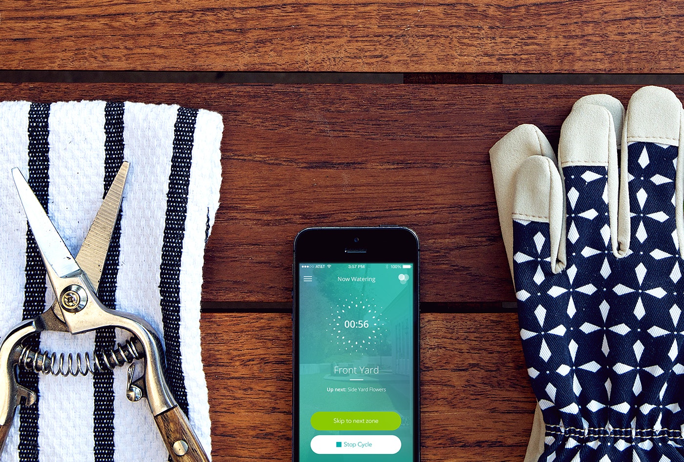 Blossom gallery image