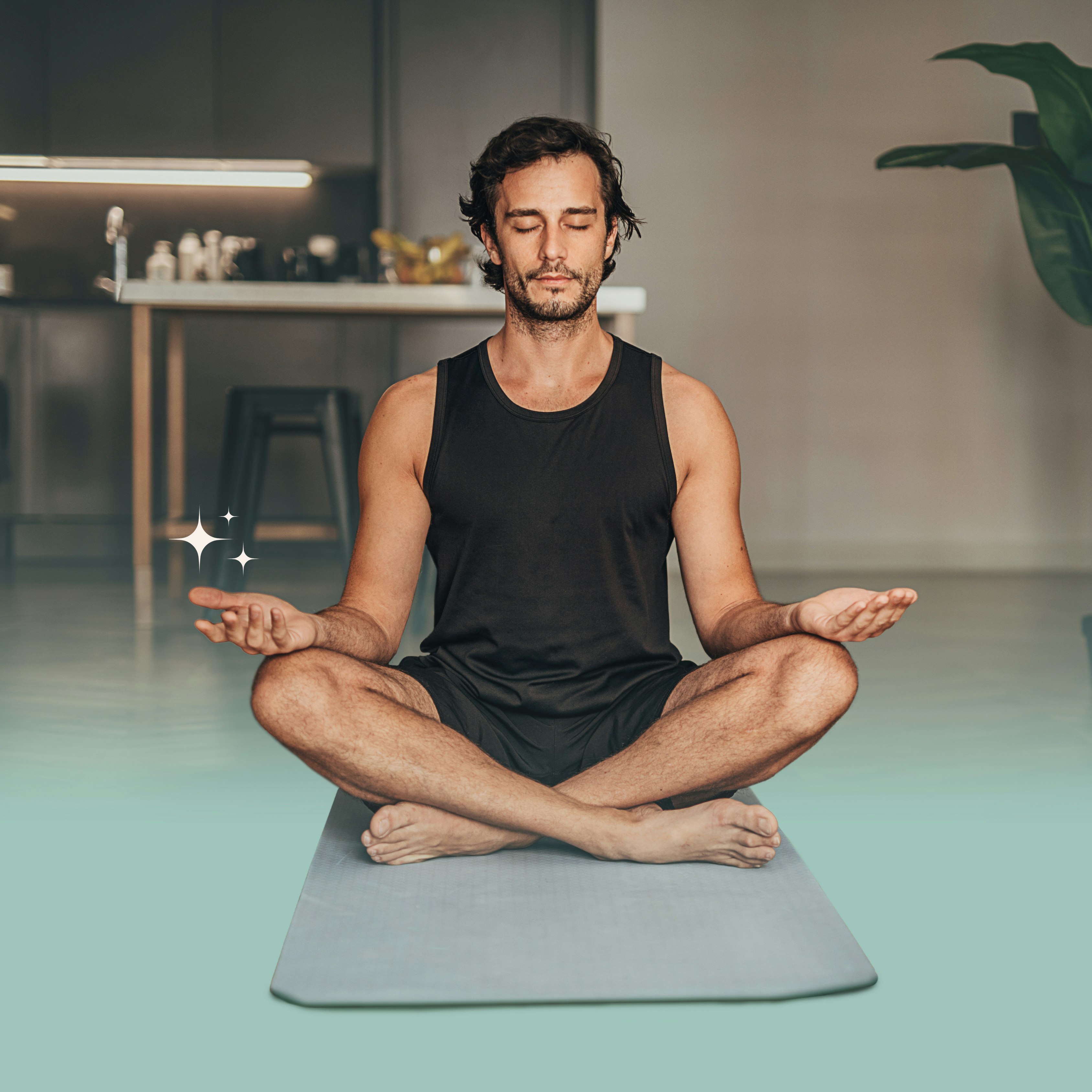 Mídia 3 de Brainstate meditação - Buda no seu bolso.Meditação da atenção plena como um serviço