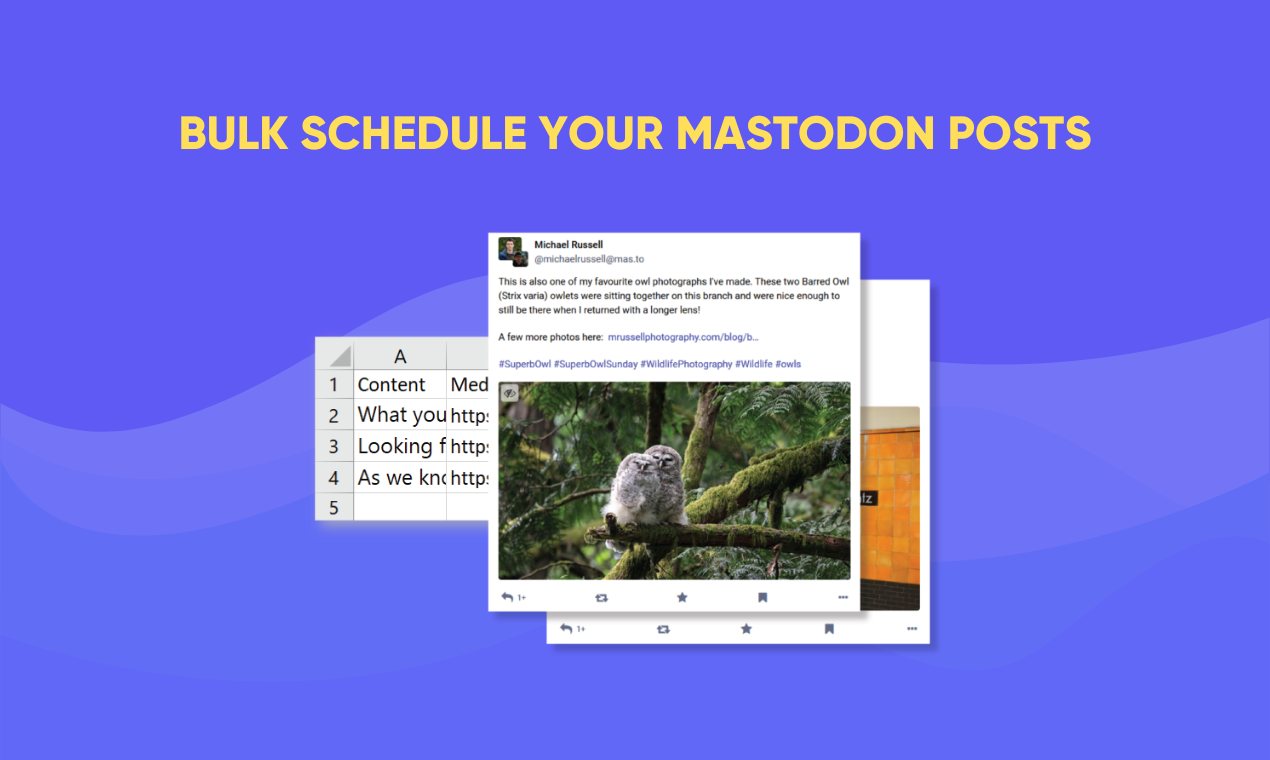وسائط SocialBu لـ Mastodon 3