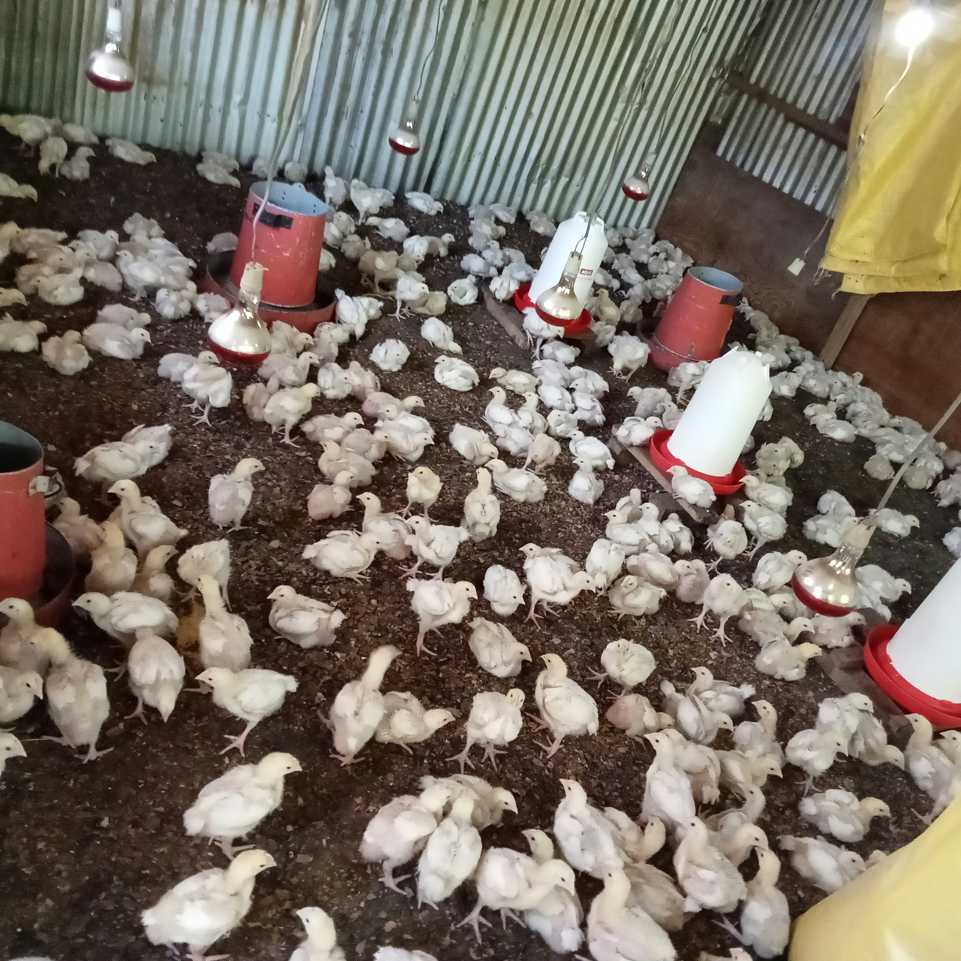 SEIL AFRICA gallery image