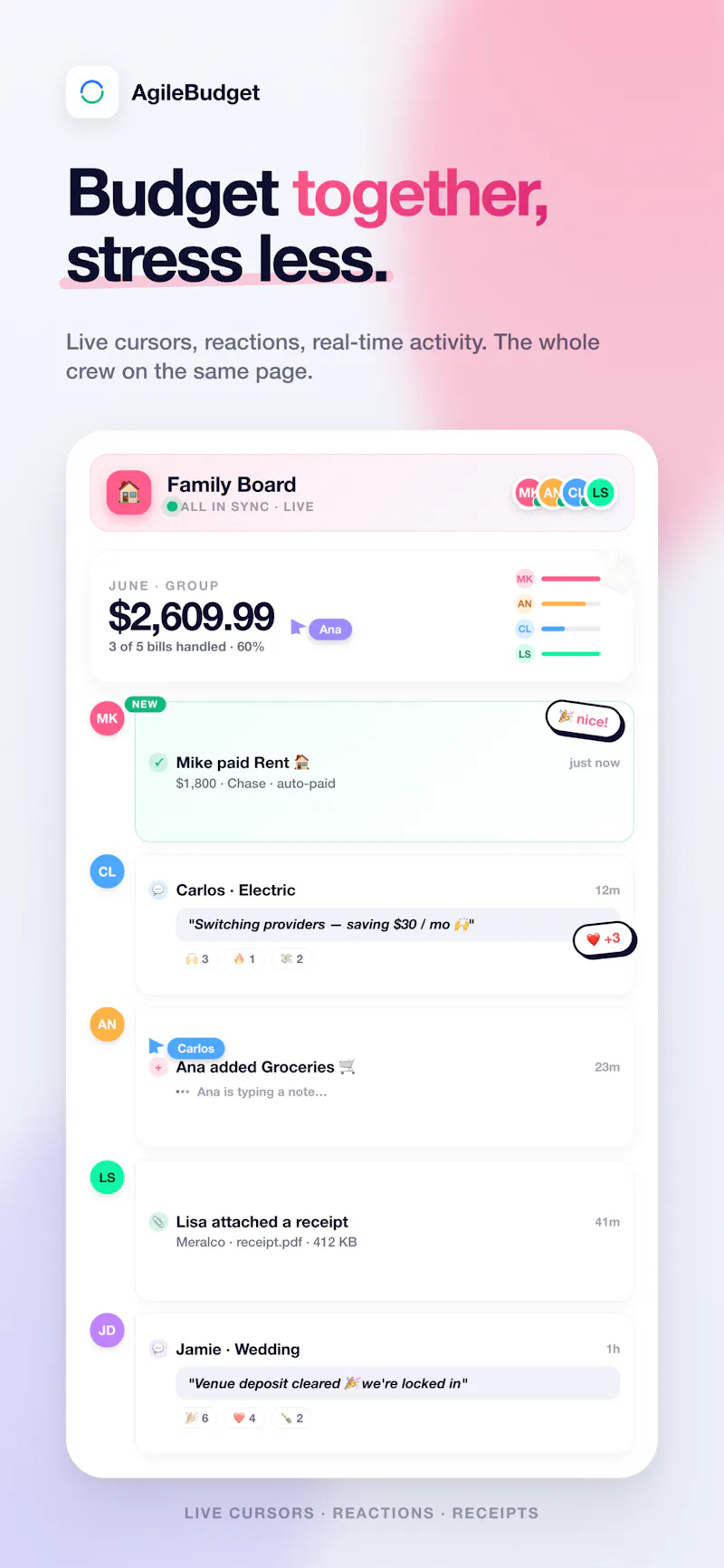 AgileBudget screenshot 4