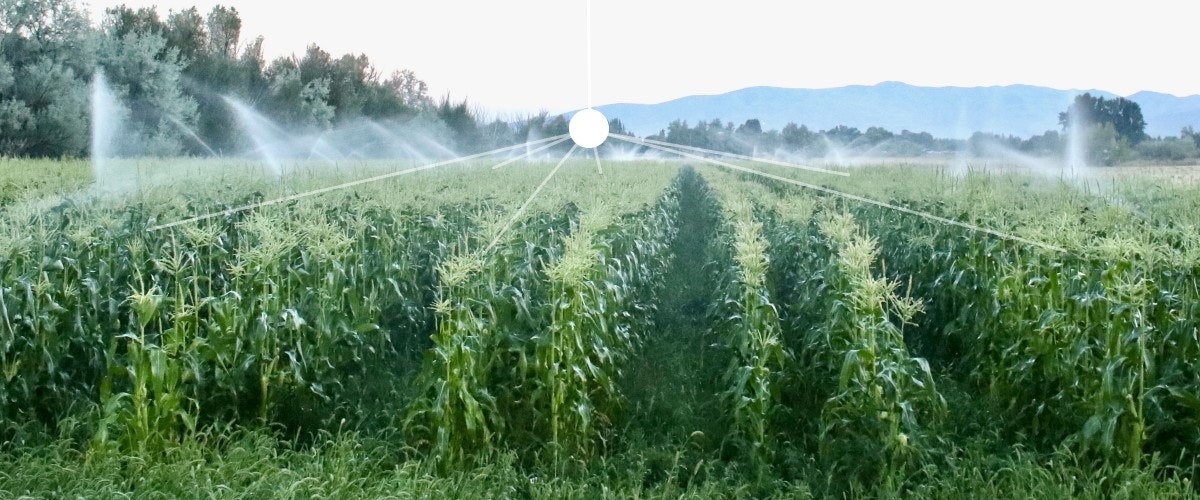 Wireless Soil Sensors gallery image