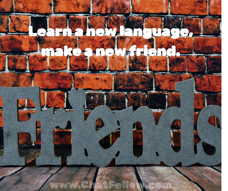 ChatFellow gallery image