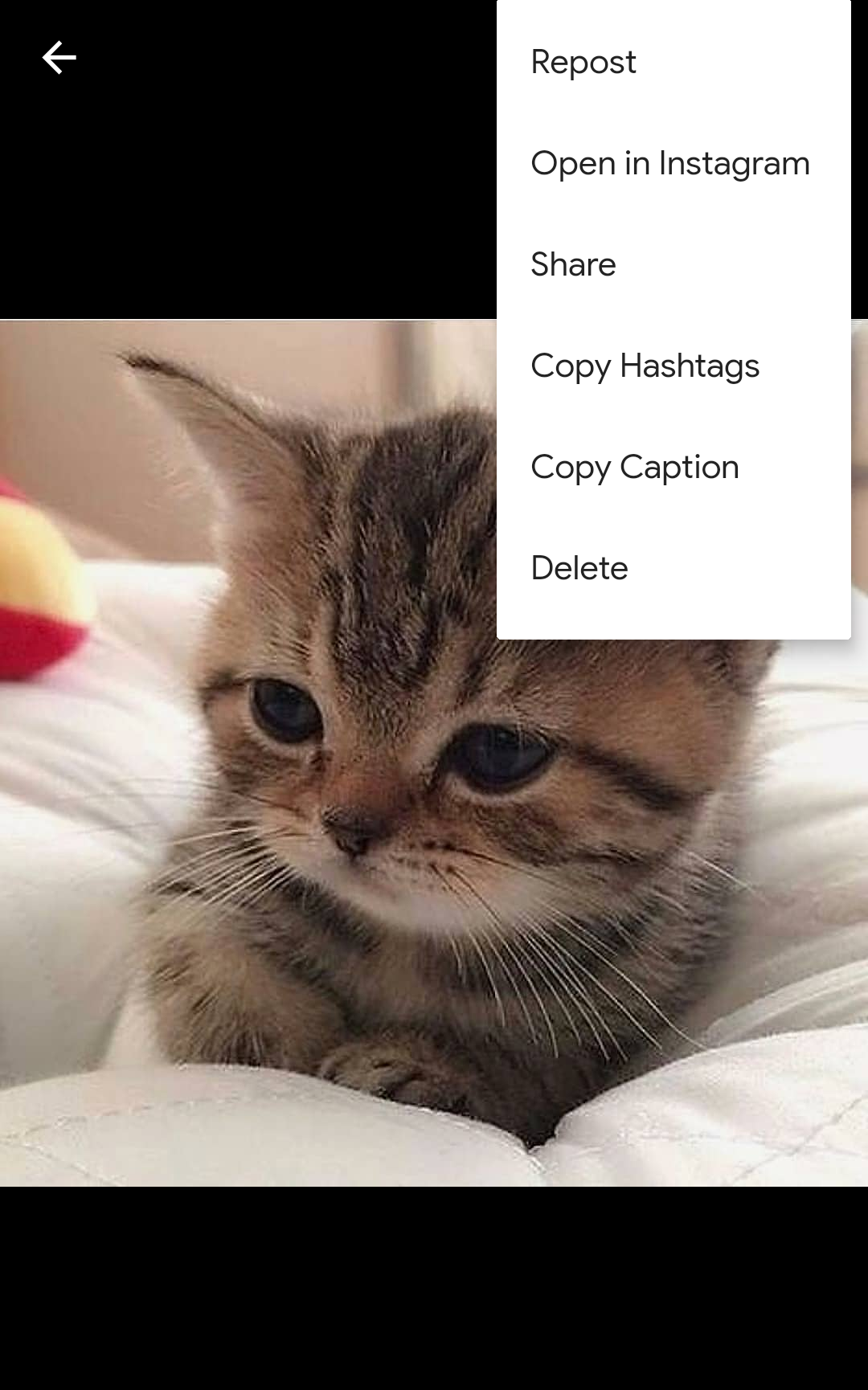 Insta Downloader gallery image