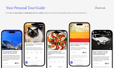 Chance AI: Visual Reasoning gallery image