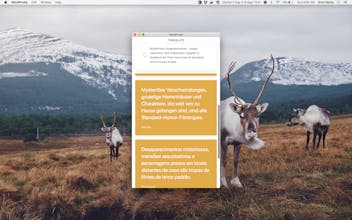 Wordprobe gallery image