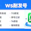 外贸获客必备:WhatsApp 官方蓝标认证全攻略!
