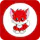 Red Fox Education