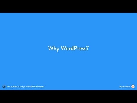 How to Make a Living as a WordPress Developer