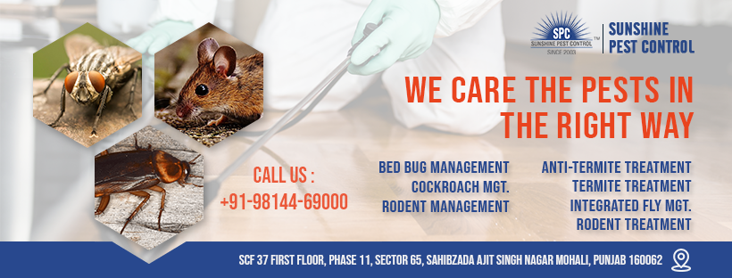 Termietbehandelingsdiensten in Mohali - Sunshine Pest Control ISO 9001: 2015 gecertificeerd bedrijf media 2