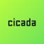 Cicada