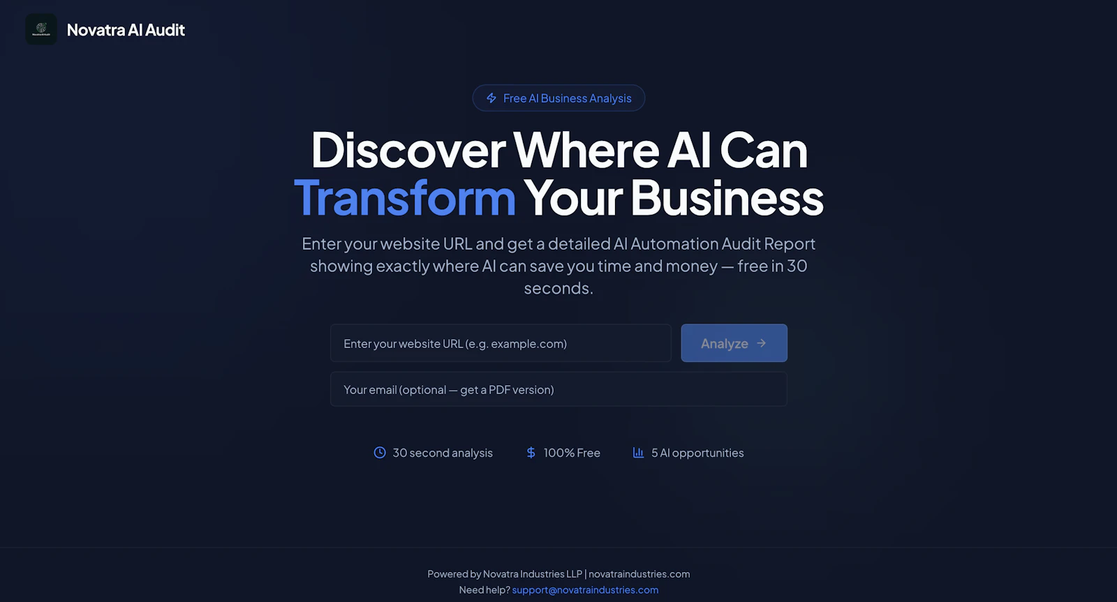 Novatra AI Business Audit Tool screenshot 3