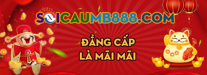 soicaumb888.com
