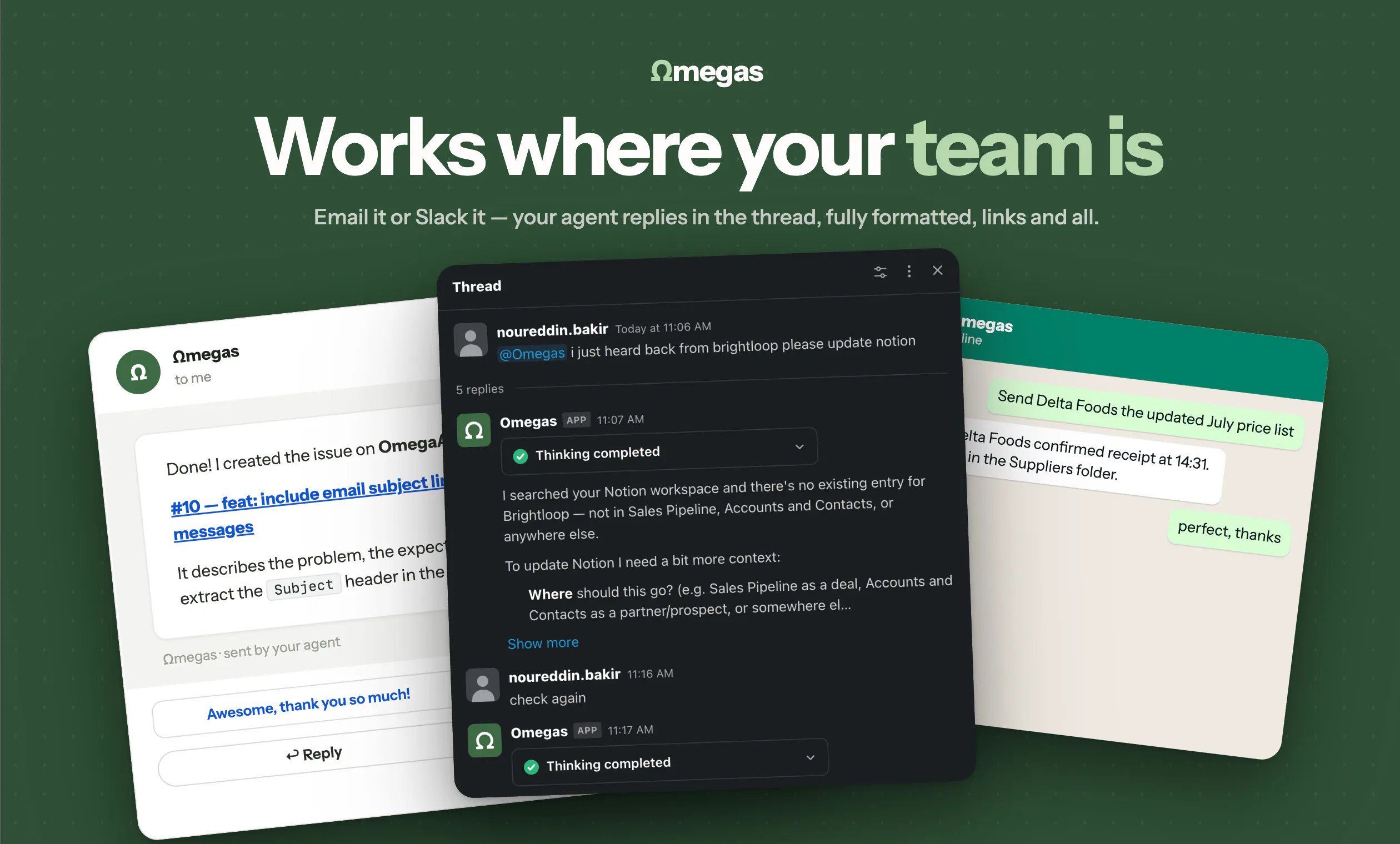Ωmegas.dev gallery image