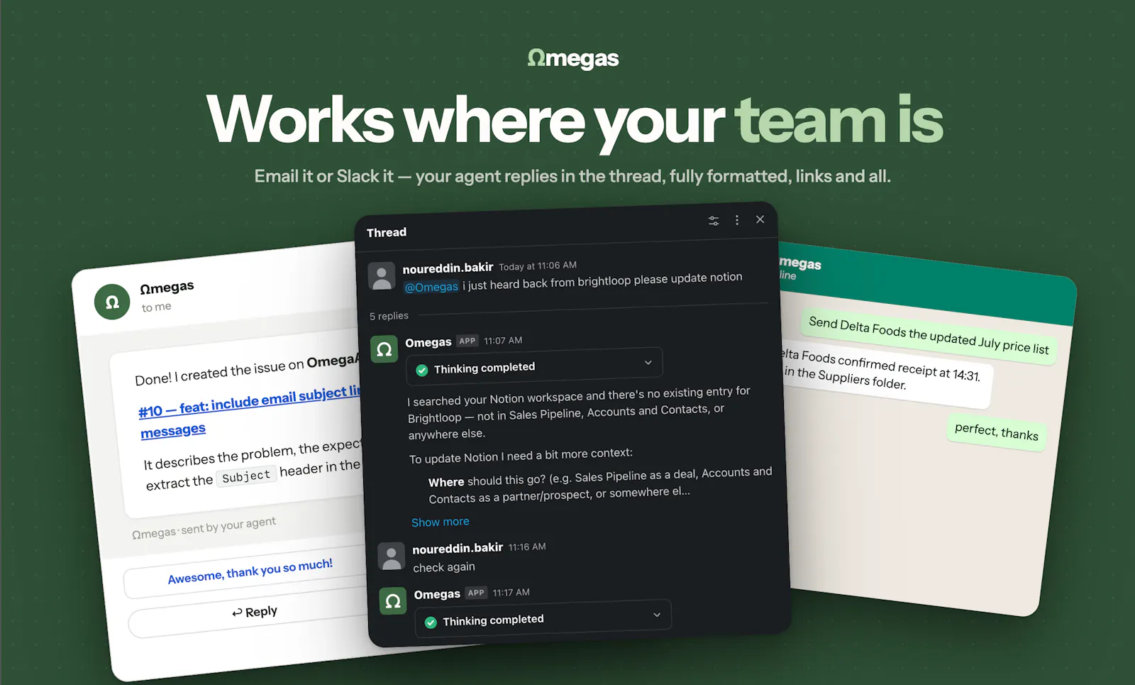 Ωmegas.dev screenshot 4
