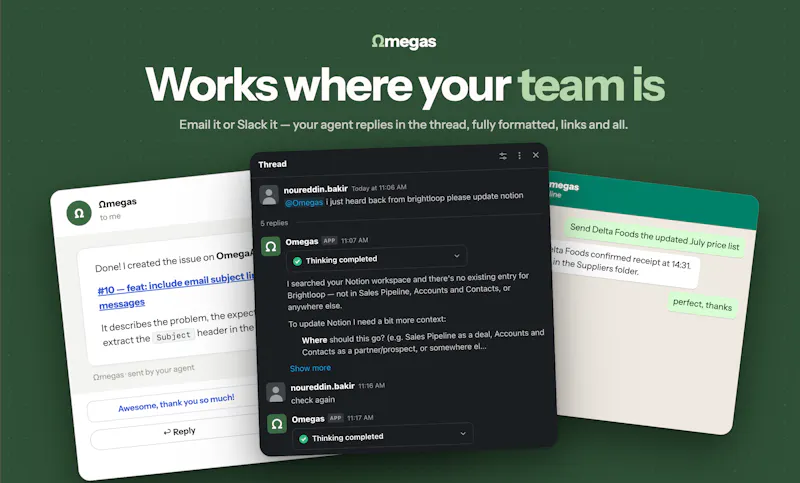 Ωmegas.dev screenshot 4