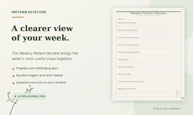 Pattern Detective Journal screenshot 2
