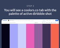 DribbbleGrab media 3