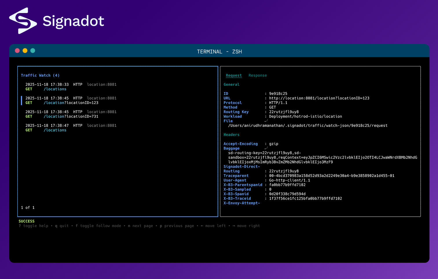 Signadot Local gallery image