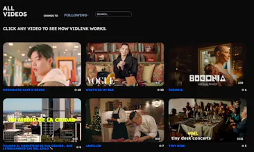 Vidlink gallery image